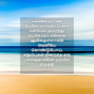 Picture 04 - எசேக்கியேல் 37:1 TAMIRV - யெகோவாவுடைய கை - Bible Verse Picture