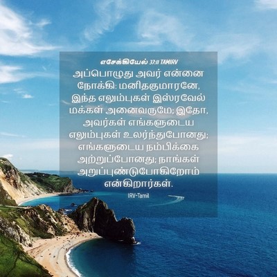 Picture 04 - எசேக்கியேல் 37:11 TAMIRV - அப்பொழுது அவர் - Bible Verse Picture