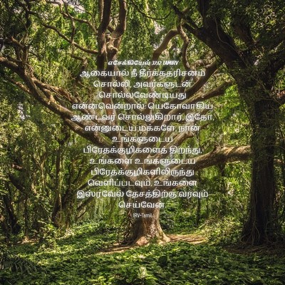 Picture 04 - எசேக்கியேல் 37:12 TAMIRV - ஆகையால் நீ - Bible Verse Picture