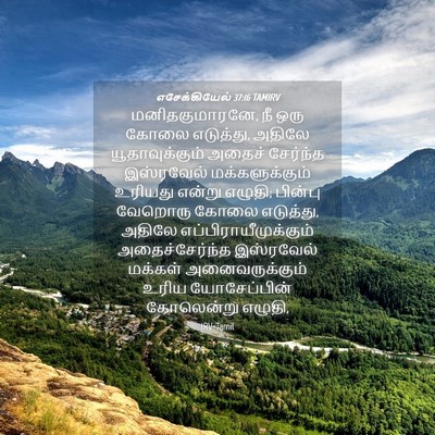 Picture 04 - எசேக்கியேல் 37:16 TAMIRV - மனிதகுமாரனே, நீ - Bible Verse Picture