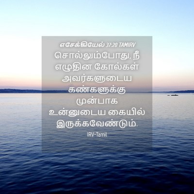 Picture 04 - எசேக்கியேல் 37:20 TAMIRV - சொல்லும்போது, நீ - Bible Verse Picture