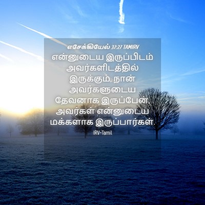 Picture 04 - எசேக்கியேல் 37:27 TAMIRV - என்னுடைய - Bible Verse Picture