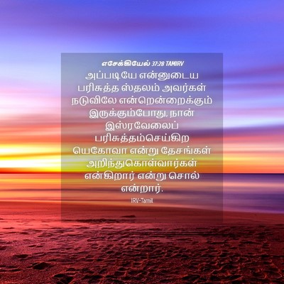 Picture 04 - எசேக்கியேல் 37:28 TAMIRV - அப்படியே என்னுடைய - Bible Verse Picture