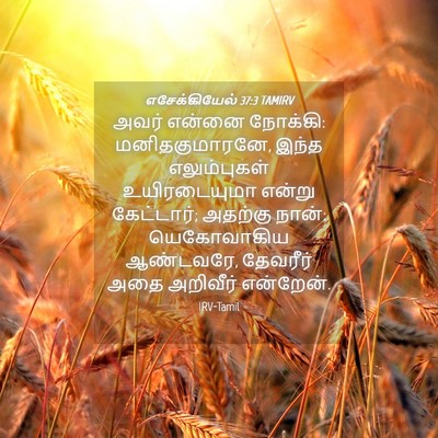 Picture 04 - எசேக்கியேல் 37:3 TAMIRV - அவர் என்னை நோக்கி: - Bible Verse Picture