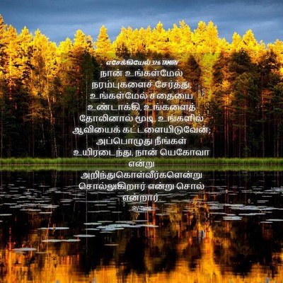 Picture 04 - எசேக்கியேல் 37:6 TAMIRV - நான் உங்கள்மேல் - Bible Verse Picture