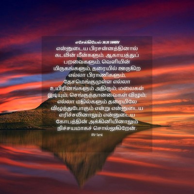 Picture 04 - எசேக்கியேல் 38:20 TAMIRV - என்னுடைய - Bible Verse Picture