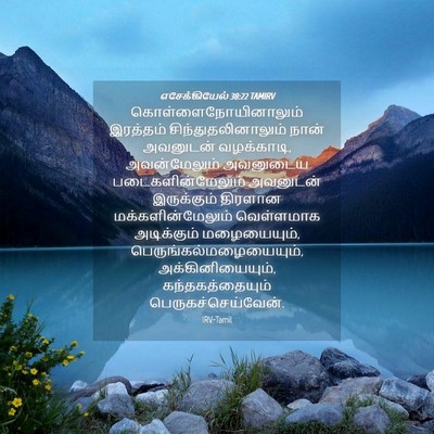 Picture 04 - எசேக்கியேல் 38:22 TAMIRV - கொள்ளைநோயினாலும் - Bible Verse Picture