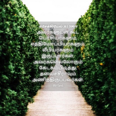 Picture 04 - எசேக்கியேல் 38:5 TAMIRV - அவர்களுடன் கூட - Bible Verse Picture
