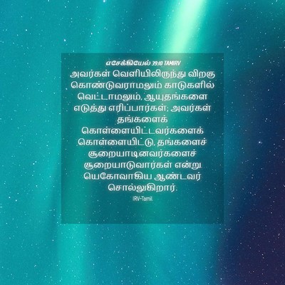 Picture 04 - எசேக்கியேல் 39:10 TAMIRV - அவர்கள் - Bible Verse Picture