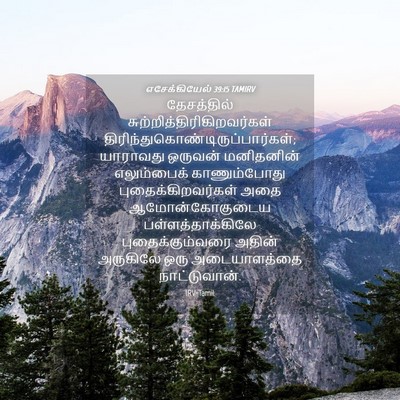 Picture 04 - எசேக்கியேல் 39:15 TAMIRV - தேசத்தில் - Bible Verse Picture