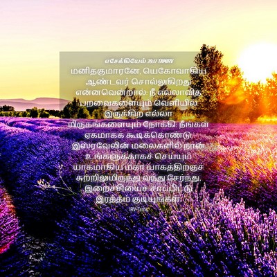Picture 04 - எசேக்கியேல் 39:17 TAMIRV - மனிதகுமாரனே, - Bible Verse Picture