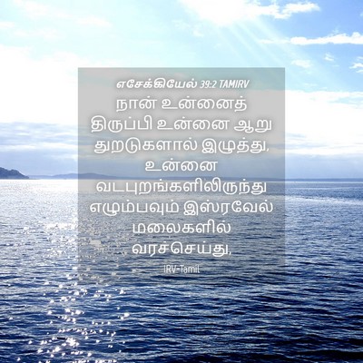 Picture 04 - எசேக்கியேல் 39:2 TAMIRV - நான் உன்னைத் - Bible Verse Picture