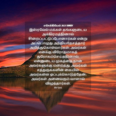 Picture 04 - எசேக்கியேல் 39:23 TAMIRV - இஸ்ரவேல் மக்கள் - Bible Verse Picture