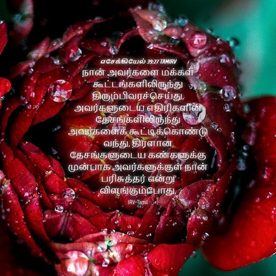 Picture 04 - எசேக்கியேல் 39:27 TAMIRV - நான் அவர்களை - Bible Verse Picture