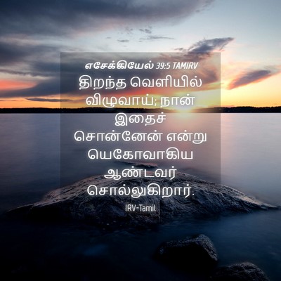 Picture 04 - எசேக்கியேல் 39:5 TAMIRV - திறந்த வெளியில் - Bible Verse Picture