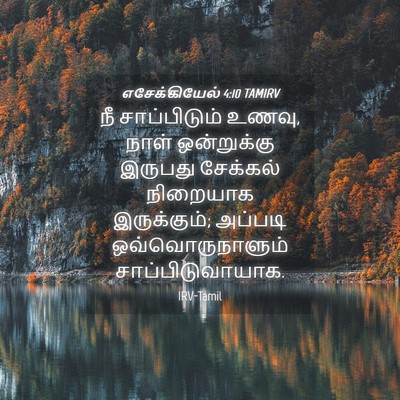 Picture 04 - எசேக்கியேல் 4:10 TAMIRV - நீ சாப்பிடும் - Bible Verse Picture