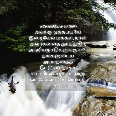 Picture 04 - எசேக்கியேல் 4:13 TAMIRV - அதற்கு ஒத்தபடியே - Bible Verse Picture