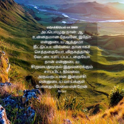 Picture 04 - எசேக்கியேல் 4:14 TAMIRV - அப்பொழுது நான்: ஆ, - Bible Verse Picture