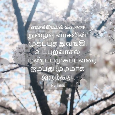 Picture 04 - எசேக்கியேல் 40:15 TAMIRV - நுழைவு வாசலின் - Bible Verse Picture