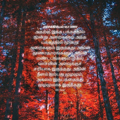 Picture 04 - எசேக்கியேல் 40:21 TAMIRV - அதற்கு இந்த - Bible Verse Picture