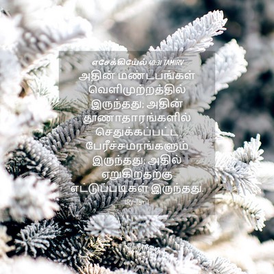 Picture 04 - எசேக்கியேல் 40:31 TAMIRV - அதின் மண்டபங்கள் - Bible Verse Picture