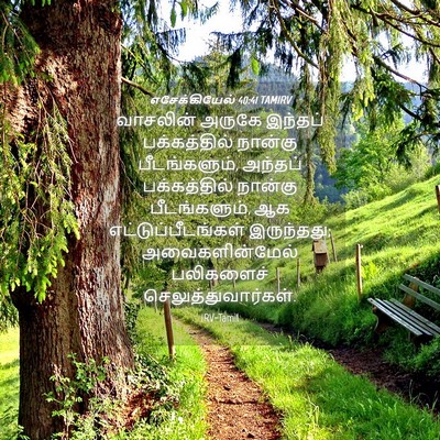 Picture 04 - எசேக்கியேல் 40:41 TAMIRV - வாசலின் அருகே - Bible Verse Picture
