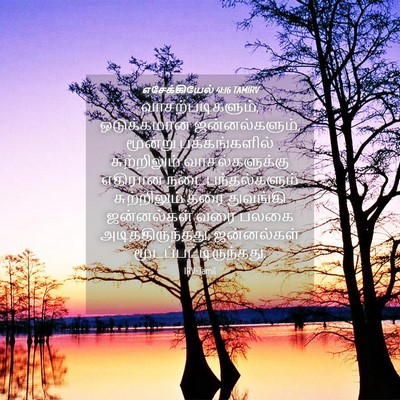 Picture 04 - எசேக்கியேல் 41:16 TAMIRV - வாசற்படிகளும், - Bible Verse Picture
