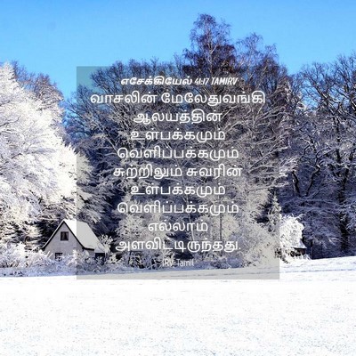 Picture 04 - எசேக்கியேல் 41:17 TAMIRV - வாசலின் - Bible Verse Picture