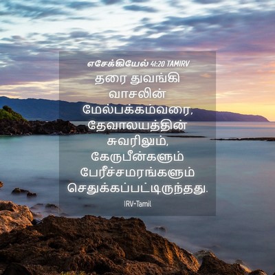 Picture 04 - எசேக்கியேல் 41:20 TAMIRV - தரை துவங்கி - Bible Verse Picture