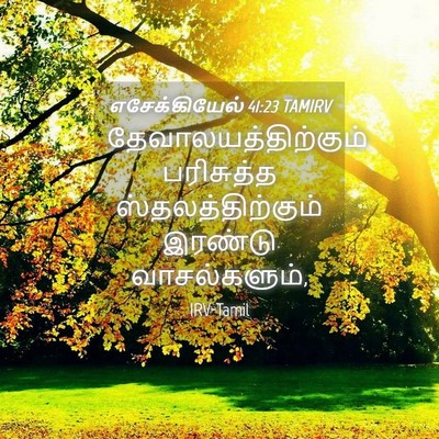 Picture 04 - எசேக்கியேல் 41:23 TAMIRV - தேவாலயத்திற்கும் - Bible Verse Picture