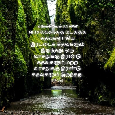 Picture 04 - எசேக்கியேல் 41:24 TAMIRV - வாசல்களுக்கு - Bible Verse Picture