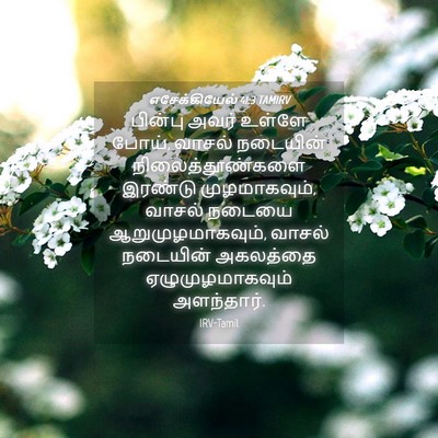 Picture 04 - எசேக்கியேல் 41:3 TAMIRV - பின்பு அவர் உள்ளே - Bible Verse Picture