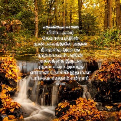 Picture 04 - எசேக்கியேல் 41:4 TAMIRV - பின்பு அவர் - Bible Verse Picture