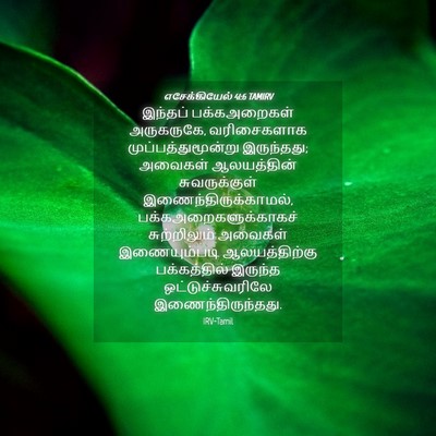 Picture 04 - எசேக்கியேல் 41:6 TAMIRV - இந்தப் பக்கஅறைகள் - Bible Verse Picture
