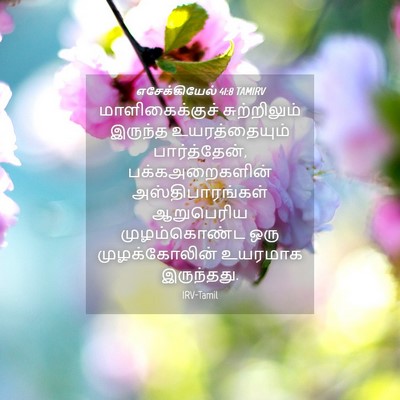 Picture 04 - எசேக்கியேல் 41:8 TAMIRV - மாளிகைக்குச் - Bible Verse Picture