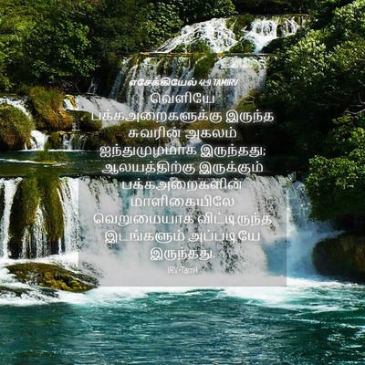 Picture 04 - எசேக்கியேல் 41:9 TAMIRV - வெளியே - Bible Verse Picture