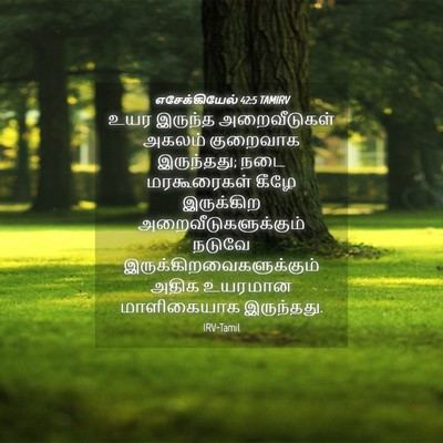 Picture 04 - எசேக்கியேல் 42:5 TAMIRV - உயர இருந்த - Bible Verse Picture