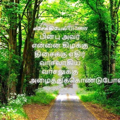 Picture 04 - எசேக்கியேல் 43:1 TAMIRV - பின்பு அவர் என்னை - Bible Verse Picture