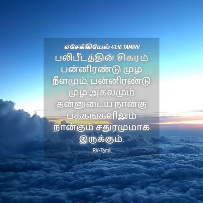 Picture 04 - எசேக்கியேல் 43:16 TAMIRV - பலிபீடத்தின் - Bible Verse Picture