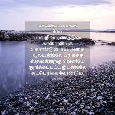 Picture 04 - எசேக்கியேல் 43:21 TAMIRV - பின்பு - Bible Verse Picture