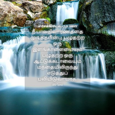 Picture 04 - எசேக்கியேல் 43:23 TAMIRV - நீ பாவநிவாரணத்தை - Bible Verse Picture