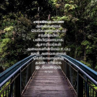 Picture 04 - எசேக்கியேல் 43:24 TAMIRV - அவைகளைக் - Bible Verse Picture