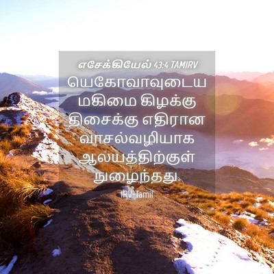 Picture 04 - எசேக்கியேல் 43:4 TAMIRV - யெகோவாவுடைய மகிமை - Bible Verse Picture