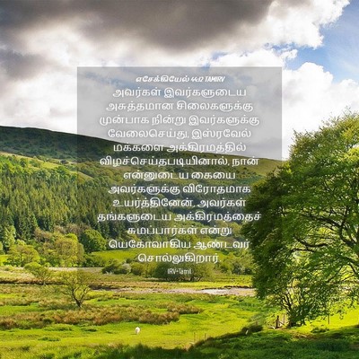Picture 04 - எசேக்கியேல் 44:12 TAMIRV - அவர்கள் - Bible Verse Picture