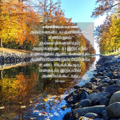 Picture 04 - எசேக்கியேல் 44:18 TAMIRV - அவர்களுடைய - Bible Verse Picture