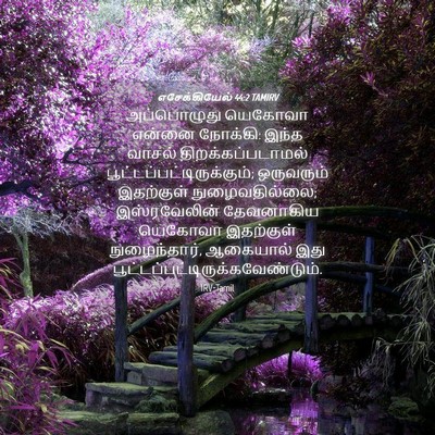 Picture 04 - எசேக்கியேல் 44:2 TAMIRV - அப்பொழுது யெகோவா - Bible Verse Picture