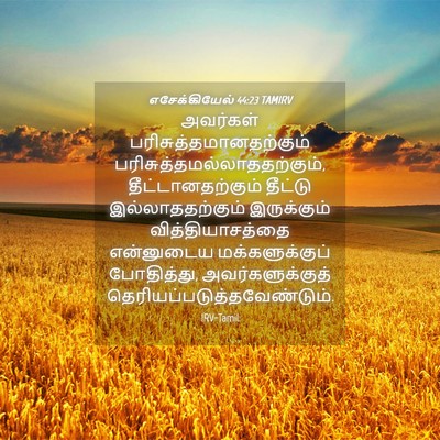 Picture 04 - எசேக்கியேல் 44:23 TAMIRV - அவர்கள் - Bible Verse Picture