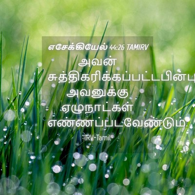Picture 04 - எசேக்கியேல் 44:26 TAMIRV - அவன் - Bible Verse Picture