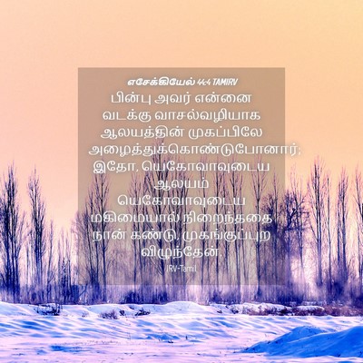 Picture 04 - எசேக்கியேல் 44:4 TAMIRV - பின்பு அவர் என்னை - Bible Verse Picture