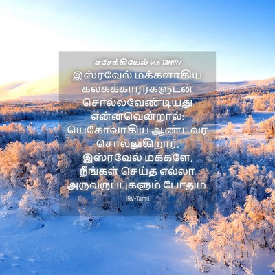 Picture 04 - எசேக்கியேல் 44:6 TAMIRV - இஸ்ரவேல் - Bible Verse Picture